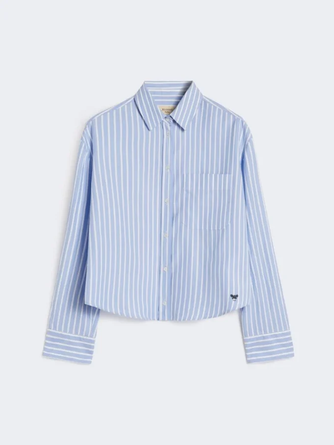 Striped cotton oxford shirt, light blue